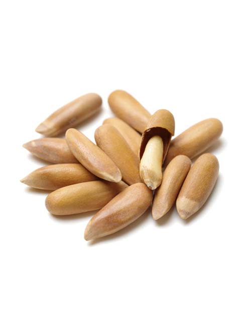 Pine Nut